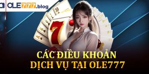 Các thành phần chính trong điều khoản sử dụng nhà cái Ole777